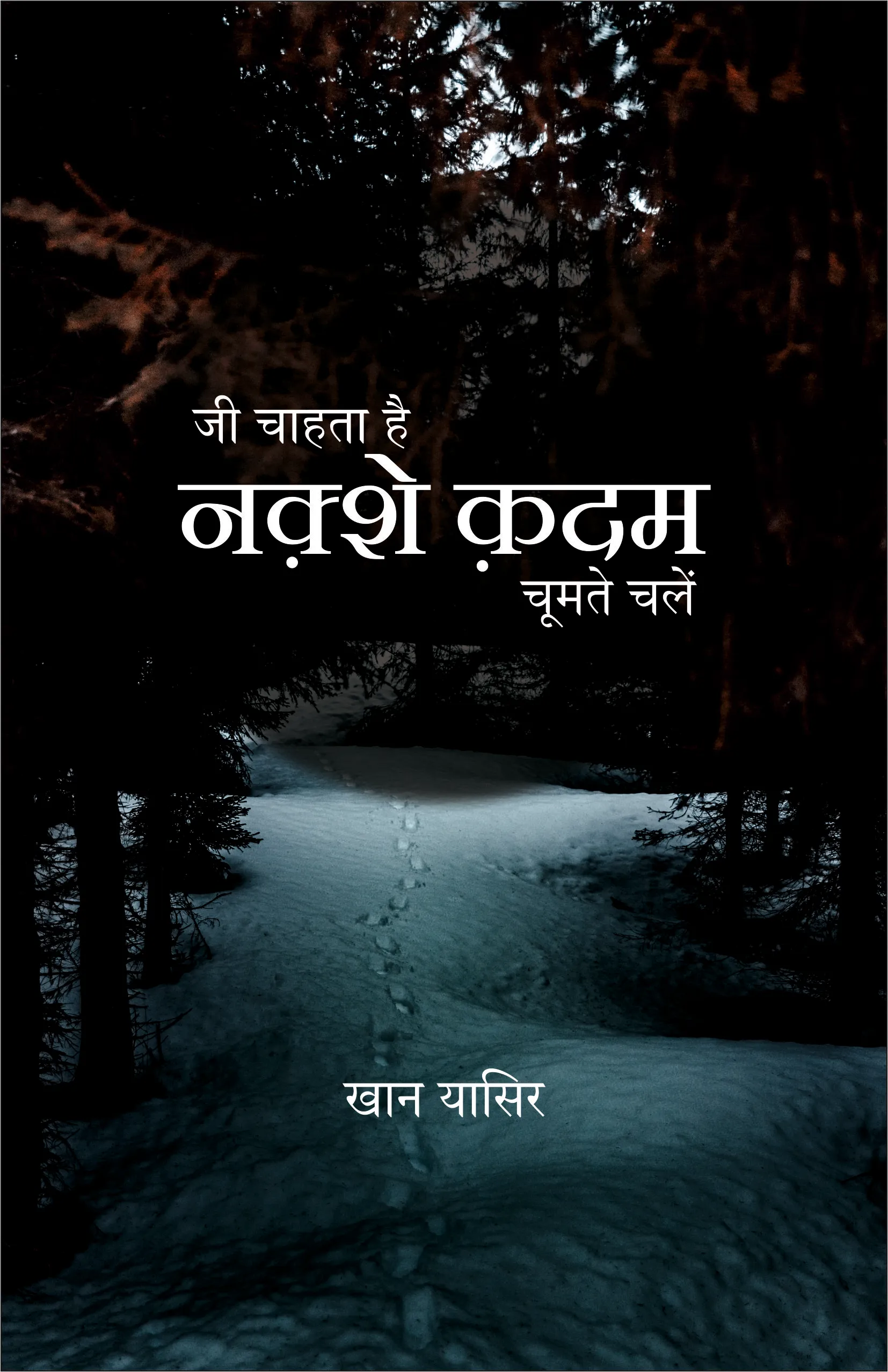 JI CHATA HAI NAQSHE QADAM CHUMTE CHALE book cover
