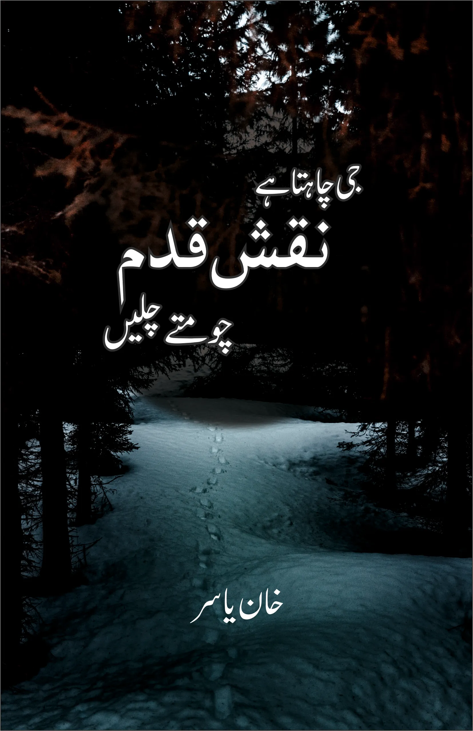 Ji Chahta hai Naqshe Kadam Choomte Chale book cover